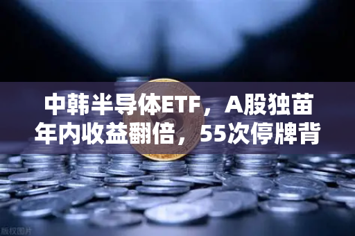中韩半导体ETF，A股独苗年内收益翻倍，55次停牌背后的狂欢与隐忧-第1张图片-币安Binance