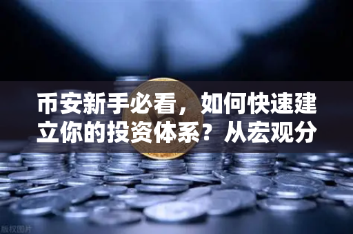 币安新手必看，如何快速建立你的投资体系？从宏观分析到链上数据追踪