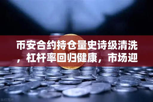 币安合约持仓量史诗级清洗，杠杆率回归健康，市场迎来真正底部？