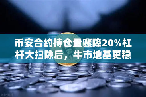 币安合约持仓量骤降20%杠杆大扫除后，牛市地基更稳了？