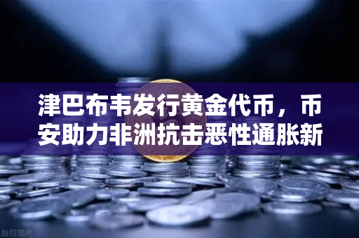 津巴布韦发行黄金代币，币安助力非洲抗击恶性通胀新路径