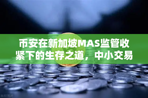 币安在新加坡MAS监管收紧下的生存之道，中小交易所何去何从？