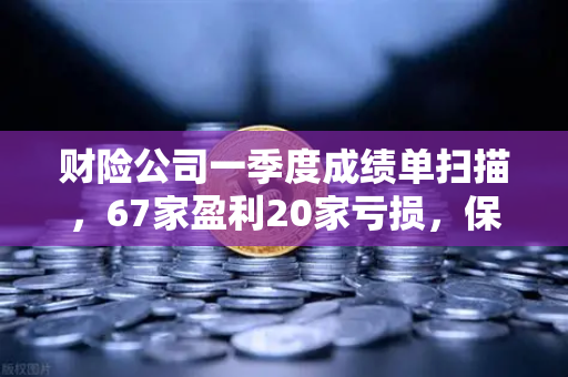 财险公司一季度成绩单扫描，67家盈利20家亏损，保险资金入市偏好与币安链上生态的保险式避险启示