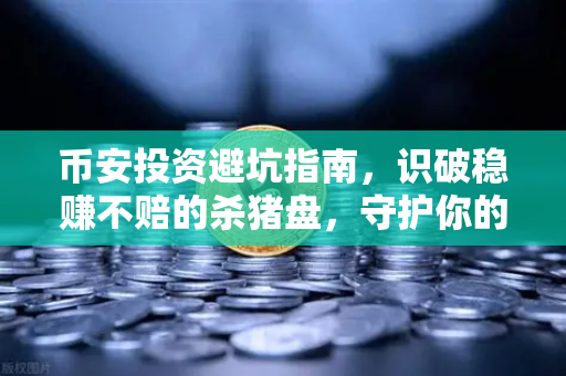 币安投资避坑指南，识破稳赚不赔的杀猪盘，守护你的数字资产