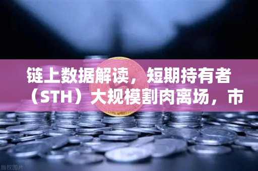 链上数据解读，短期持有者（STH）大规模割肉离场，市场正在清洗谁？