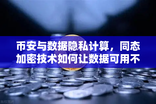 币安与数据隐私计算，同态加密技术如何让数据可用不可见