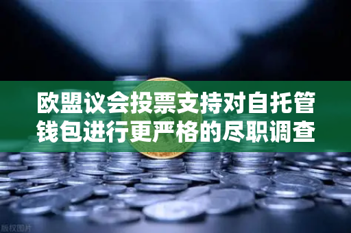欧盟议会投票支持对自托管钱包进行更严格的尽职调查，币安用户需关注的新规影响