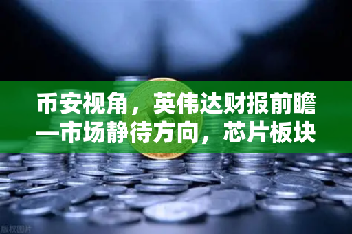 币安视角，英伟达财报前瞻—市场静待方向，芯片板块集体回调背后的真相