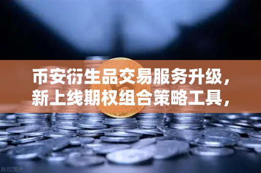 币安衍生品交易服务升级，新上线期权组合策略工具，你的投资工具箱又添利器