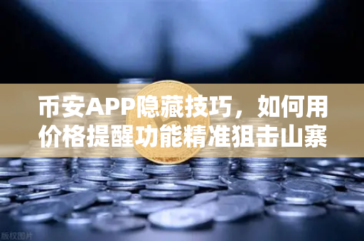 币安APP隐藏技巧，如何用价格提醒功能精准狙击山寨币行情？