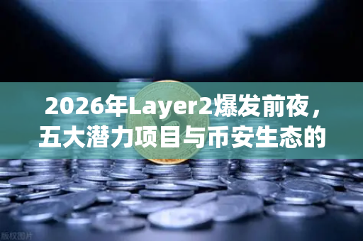 2026年Layer2爆发前夜，五大潜力项目与币安生态的隐秘联结