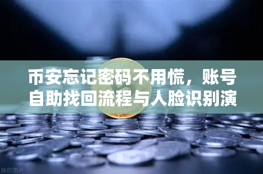 币安忘记密码不用慌，账号自助找回流程与人脸识别演示