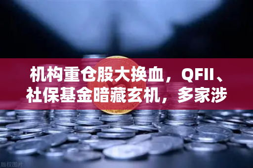 机构重仓股大换血，QFII、社保基金暗藏玄机，多家涉币概念股浮出水面