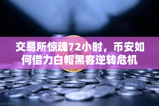 交易所惊魂72小时，币安如何借力白帽黑客逆转危机