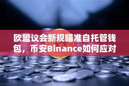 欧盟议会新规瞄准自托管钱包，币安Binance如何应对加密合规分水岭？