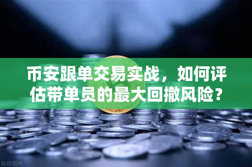 币安跟单交易实战，如何评估带单员的最大回撤风险？-第1张图片-币安Binance