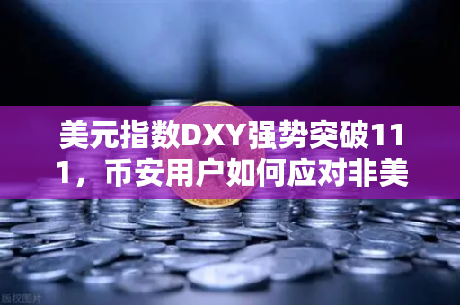 美元指数DXY强势突破111,币安用户如何应对非美资产全线承压?-第1张图片-币安Binance 美元指数DXY强势突破111,币安用户如何应对非美资产全线承压?-第1张图片-币安Binance