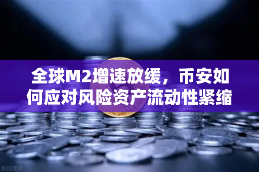 全球M2增速放缓,币安如何应对风险资产流动性紧缩?-第1张图片-币安Binance 全球M2增速放缓,币安如何应对风险资产流动性紧缩?-第1张图片-币安Binance