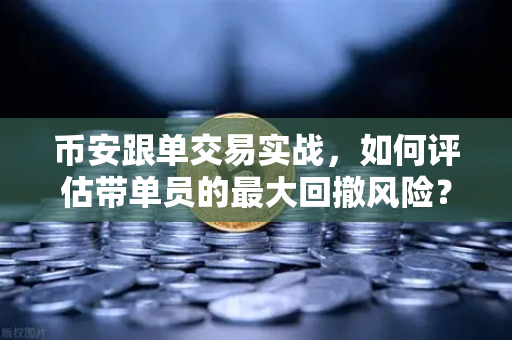 币安跟单交易实战，如何评估带单员的最大回撤风险？