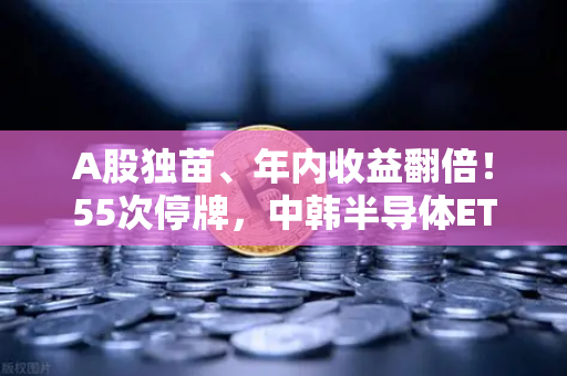 A股独苗、年内收益翻倍！55次停牌，中韩半导体ETF是机会还是坑？