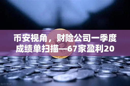 币安视角，财险公司一季度成绩单扫描—67家盈利20家亏损，保险资金入市偏好大揭秘