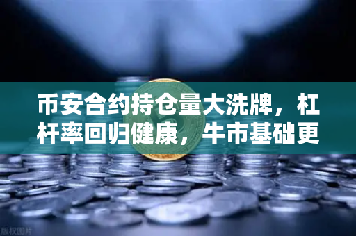 币安合约持仓量大洗牌，杠杆率回归健康，牛市基础更稳固