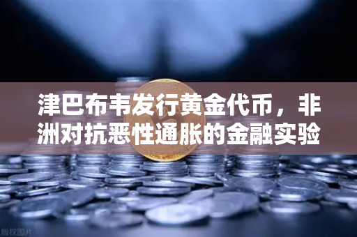 津巴布韦发行黄金代币，非洲对抗恶性通胀的金融实验
