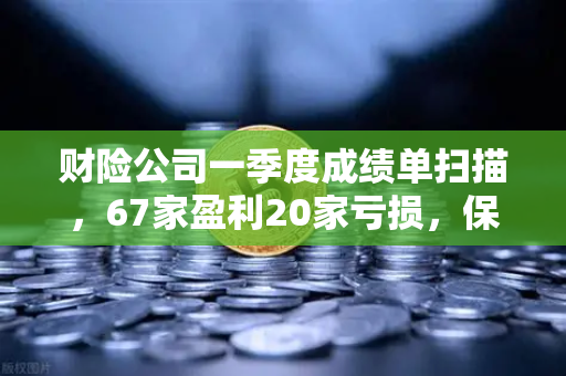 财险公司一季度成绩单扫描，67家盈利20家亏损，保险资金入市偏好悄然生变