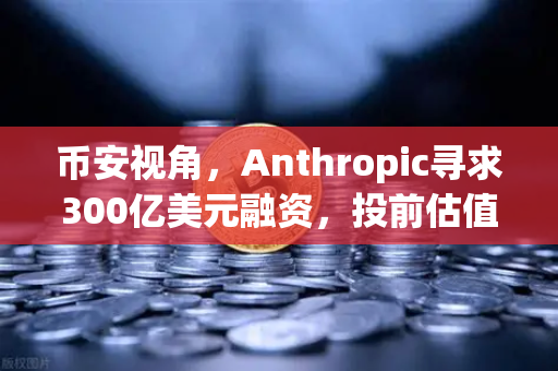 币安视角，Anthropic寻求300亿美元融资，投前估值超9000亿—AI泡沫还是新起点？