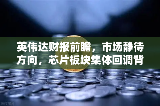英伟达财报前瞻，市场静待方向，芯片板块集体回调背后的真相