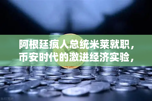 阿根廷疯人总统米莱就职，币安时代的激进经济实验，加密货币能否拯救南美？