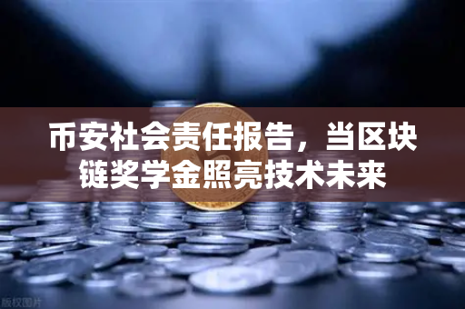 币安社会责任报告，当区块链奖学金照亮技术未来