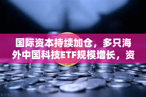 国际资本持续加仓,多只海外中国科技ETF规模增长,资金回流亚洲-第1张图片-币安Binance 国际资本持续加仓,多只海外中国科技ETF规模增长,资金回流亚洲-第1张图片-币安Binance