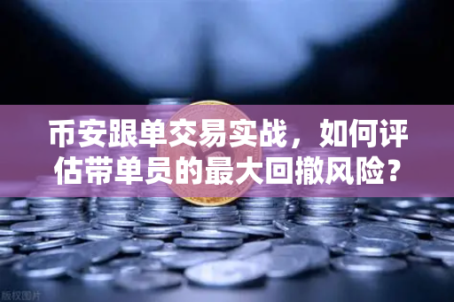 币安跟单交易实战，如何评估带单员的最大回撤风险？