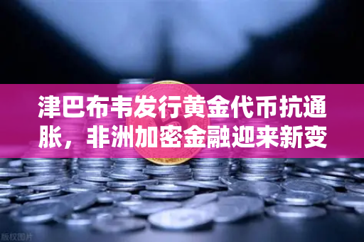 津巴布韦发行黄金代币抗通胀，非洲加密金融迎来新变局？币安生态或成关键枢纽
