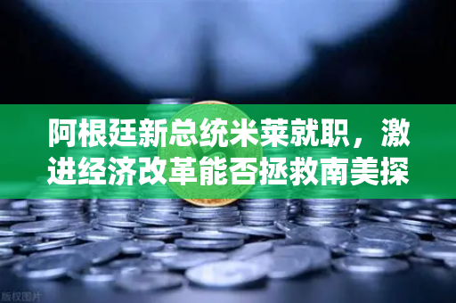 阿根廷新总统米莱就职，激进经济改革能否拯救南美探戈之国？