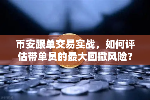 币安跟单交易实战，如何评估带单员的最大回撤风险？