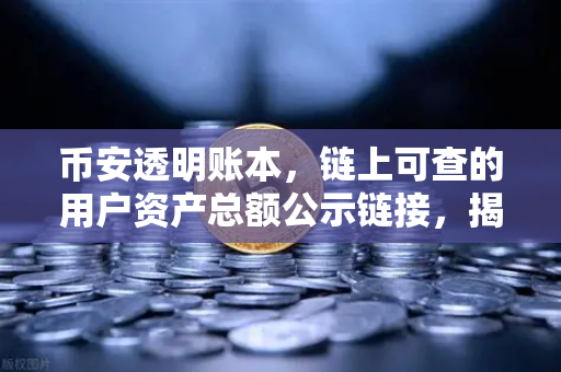 币安透明账本，链上可查的用户资产总额公示链接，揭秘加密交易所的信任基石