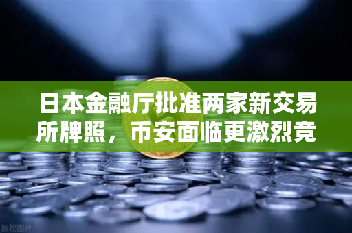 日本金融厅批准两家新交易所牌照，币安面临更激烈竞争格局-第1张图片-币安Binance