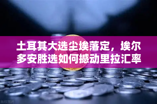 土耳其大选尘埃落定，埃尔多安胜选如何撼动里拉汇率？加密货币投资者转向币安避险