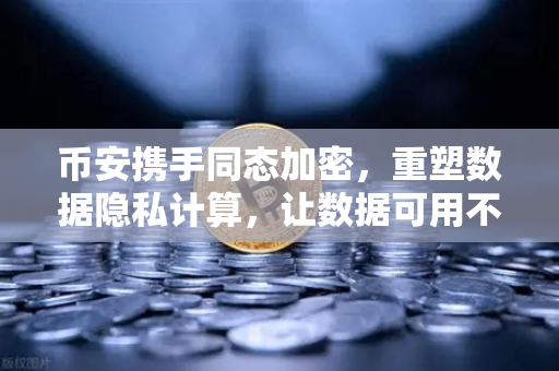 币安携手同态加密，重塑数据隐私计算，让数据可用不可见