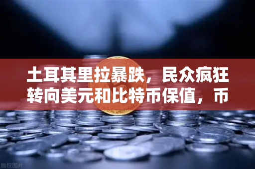 土耳其里拉暴跌，民众疯狂转向美元和比特币保值，币安交易量激增