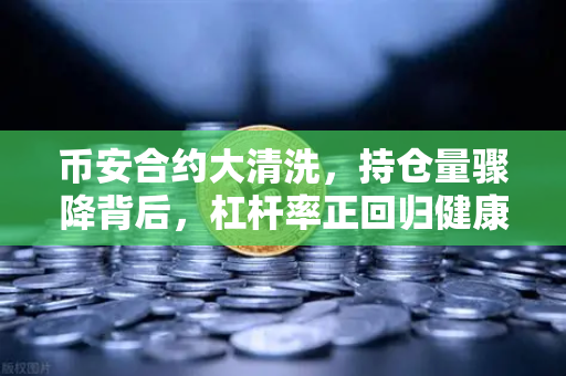 币安合约大清洗，持仓量骤降背后，杠杆率正回归健康线