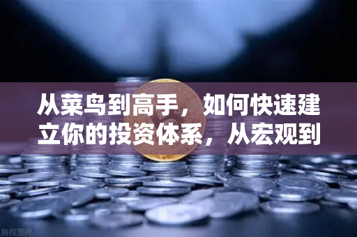 从菜鸟到高手，如何快速建立你的投资体系，从宏观到微观的分析框架（币安实战版）-第1张图片-币安Binance