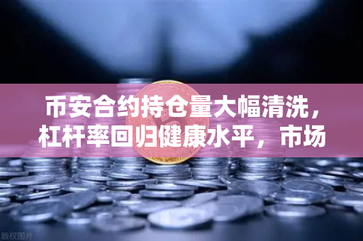 币安合约持仓量大幅清洗，杠杆率回归健康水平，市场迎来理性曙光