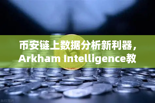 币安链上数据分析新利器，Arkham Intelligence教程，可视化追踪资金流向